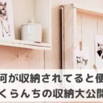 新築一戸建て・どこに何を収納すると便利？実際の収納を写真で紹介
